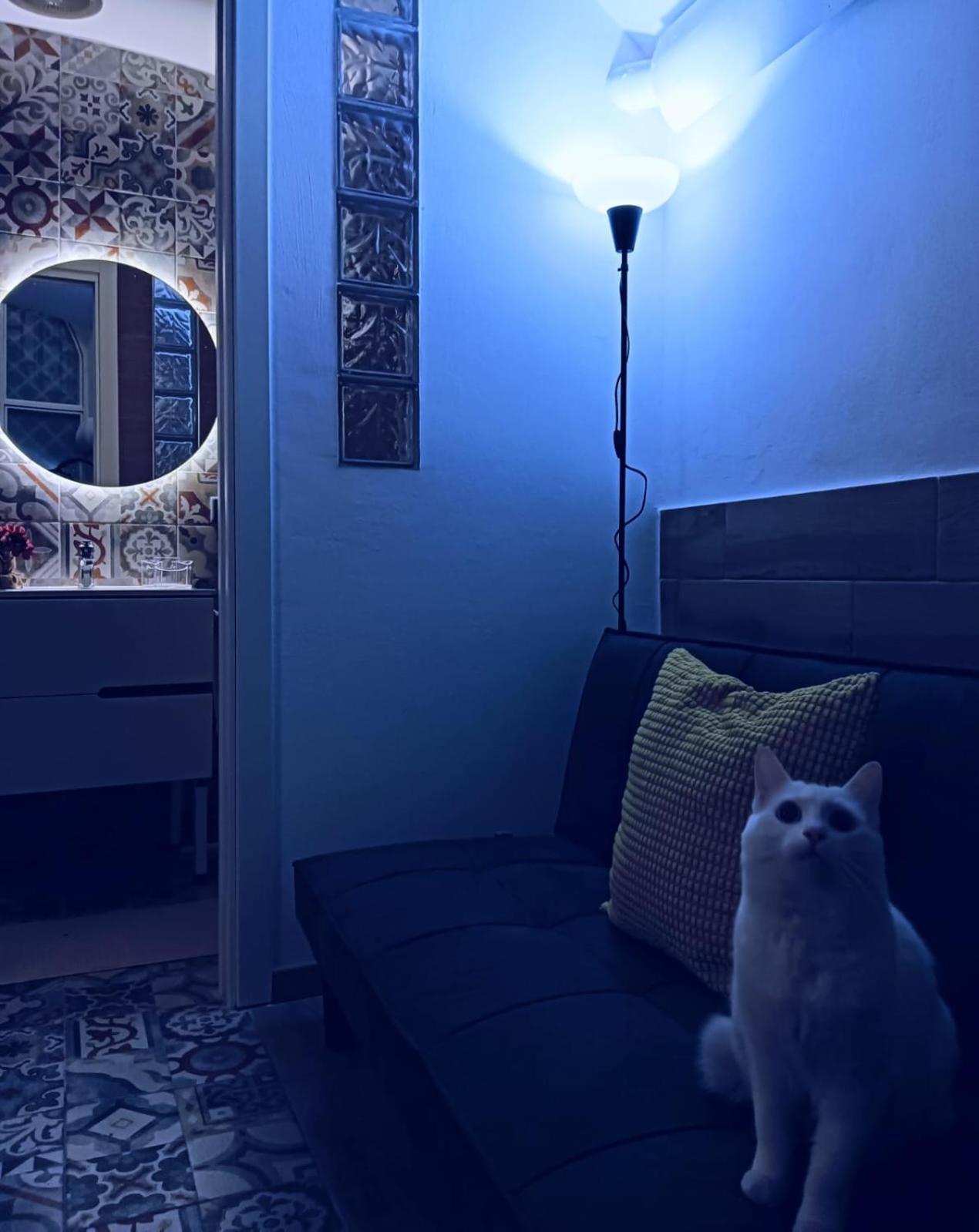 Ferienhaus The White Cat Neapel