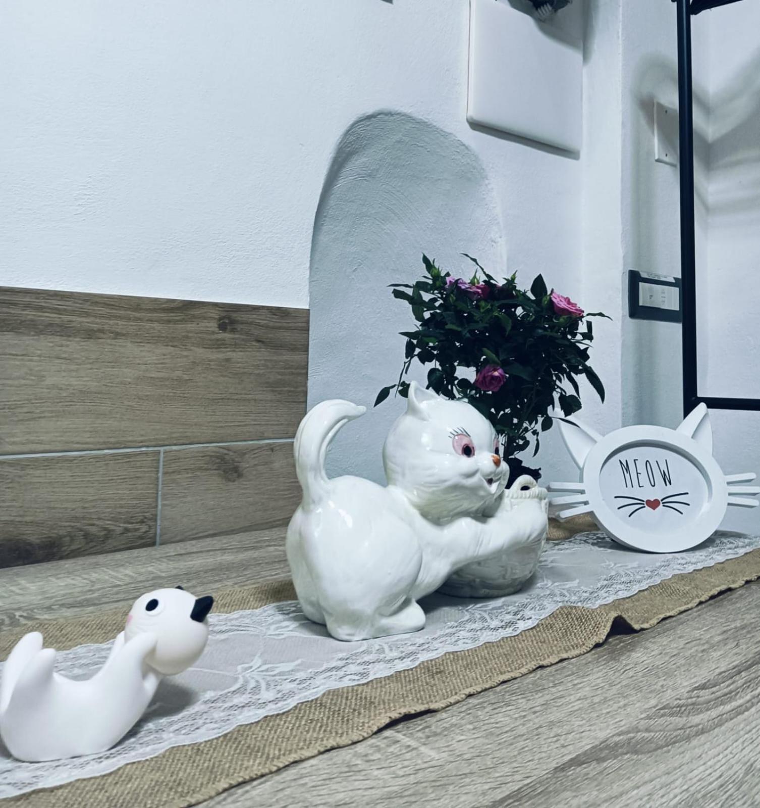 Ferienhaus The White Cat *